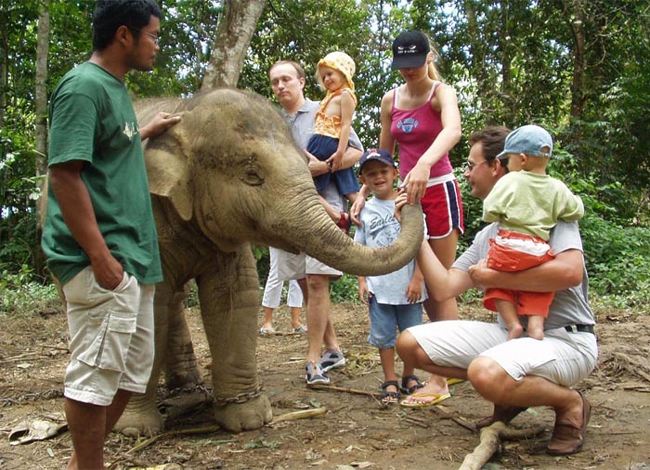 BATU CAVE + ELEPHANT SANCTUARY TOURS