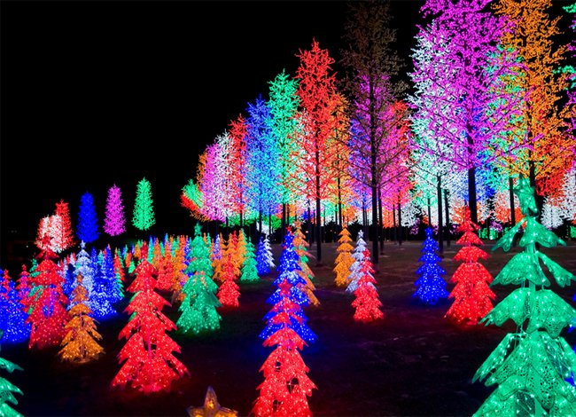 CRAB ISLAND + I CITY TOUR 