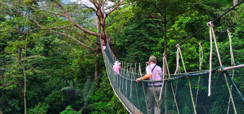Malaysia day trip tour