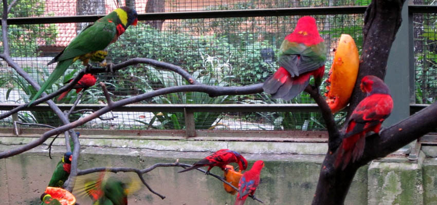 Penang tour packages